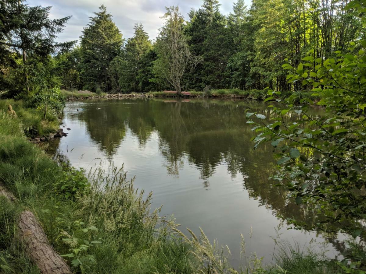 Healing Ponds Farm Villa Buxton Exteriör bild